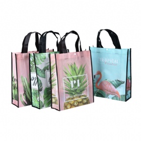 non woven bag